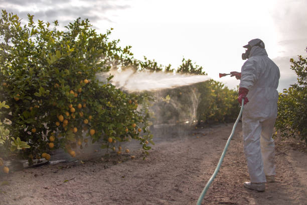 Best Best Pest Control Companies  in Grant, MN