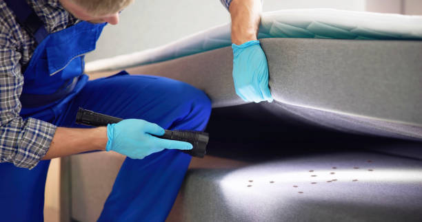 Best Commercial Pest Control Services  in Grant, MN