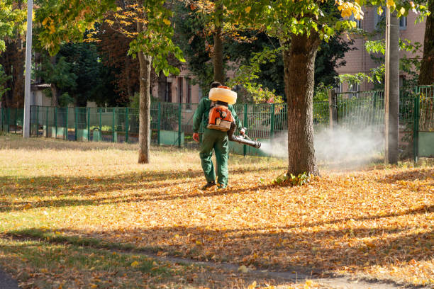 Best Emergency Pest Control  in Grant, MN
