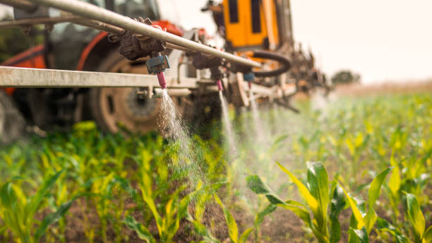 Best Wildlife Control Services  in Grant, MN